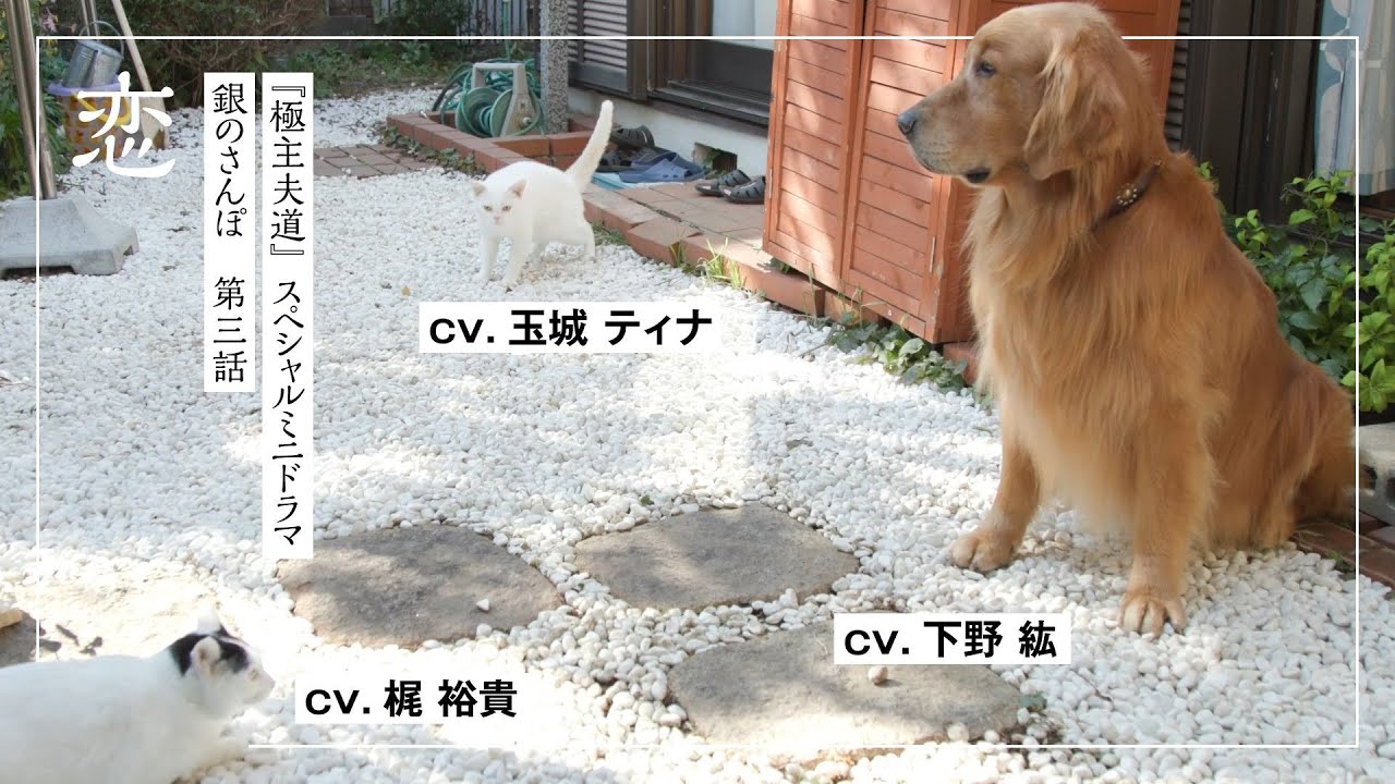 『極主夫道』スペシャルミニドラマ 「銀のさんぽ」 第三話(最終回) 恋【CV:梶裕貴&下野紘&玉城ティナ】 『極主夫道』スペシャルミニドラマ 「銀のさんぽ」 第三話(最終回) 恋【CV:梶裕貴&下野紘&玉城ティナ】