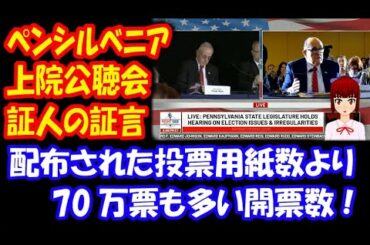 【アメリカ大統領選挙の不正を暴く】 ペンシルベニア州 公聴会 「配布された投票用紙数より 70万票も多い開票数。郵便投票ではトランプ票はわずか1％」証人が不正を指摘！