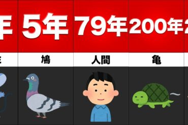 動物の寿命ランキング