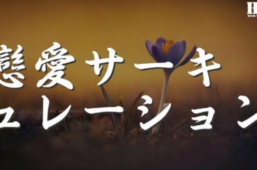 花澤香菜 - 戀愛サーキュレーション『でもそんなんじゃ だめ』【動態歌詞Lyrics】