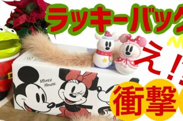 【ディズニー】ワクワクしない‼ラッキーバッグ‼ショップディズニー開封紹介☆