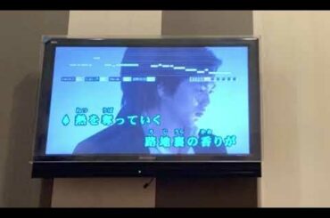 【カラオケDAM 92.971点】 極主夫道主題歌 CITRUS/Da-iCE原キーで歌ってみた