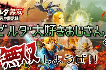 #2 【ゼルダ無双 厄災の黙示録】第2章我が嫁ミファーちゃんの続きから(*'▽')