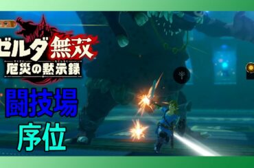ゼルダ無双 厄災の黙示録 「闘技場 序位」