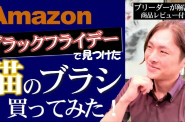【Amazonブラックフライデー】プロの猫トリマーがAmazonで買ったブラシでトリミングしてみた！初商品レビュー！