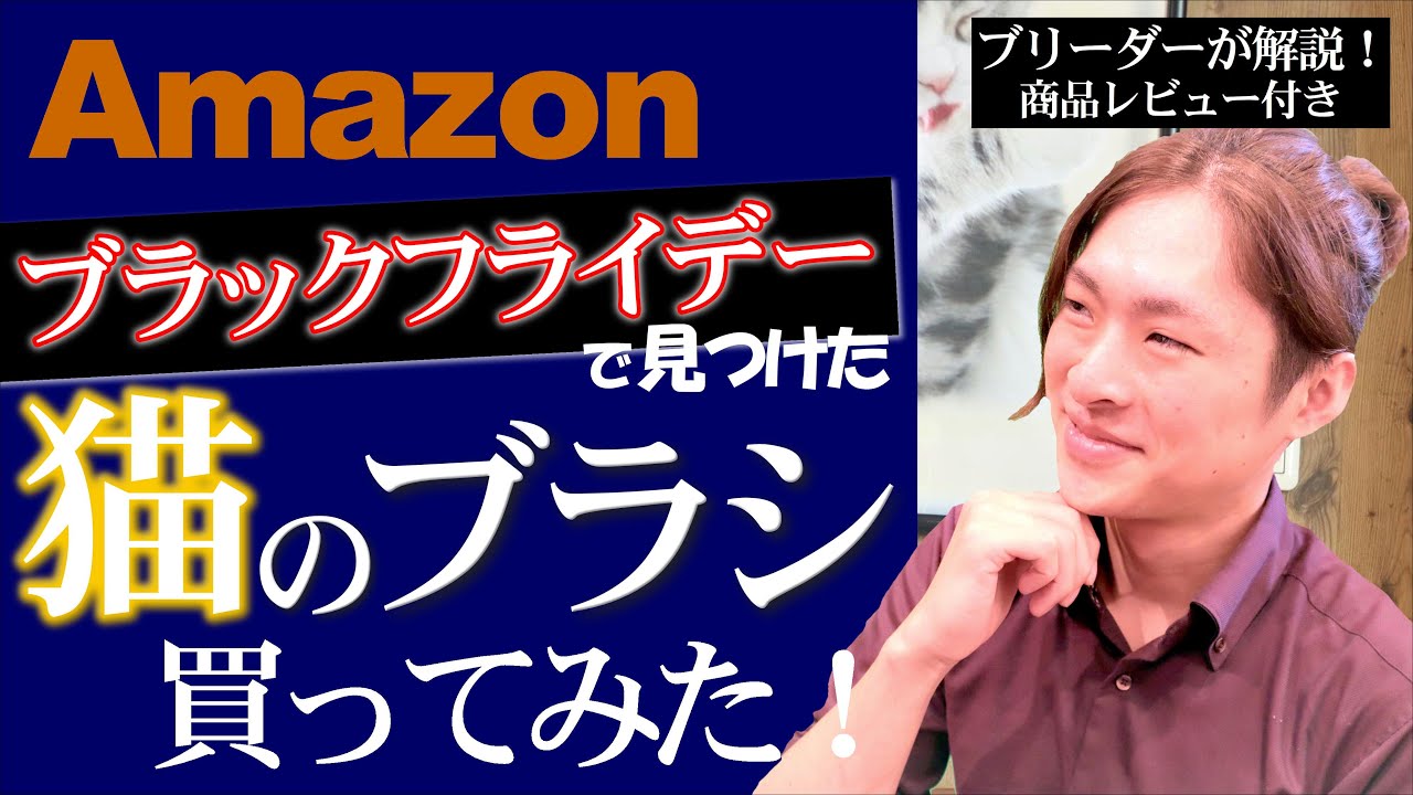 【Amazonブラックフライデー】プロの猫トリマーがAmazonで買ったブラシでトリミングしてみた！初商品レビュー！