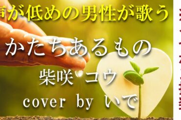 【再投稿】【低めの男性キー(-8)】かたちあるもの／柴咲コウ  cover by いで【+4のオク下で歌ってみた】【フル】【歌詞付き】