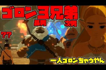 【ゼルダ無双厄災の黙示録】間に合うのか⁉ダルケル救出作戦‼【ゆっくり実況】#19