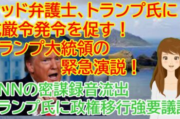 アメリカ大統領選挙 ウッド弁護士、トランプ氏に戒厳令発令を促す！トランプ大統領の緊急演説CNNの密謀録音流出