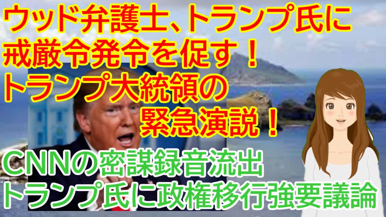 アメリカ大統領選挙 ウッド弁護士、トランプ氏に戒厳令発令を促す!トランプ大統領の緊急演説CNNの密謀録音流出 アメリカ大統領選挙 ウッド弁護士、トランプ氏に戒厳令発令を促す!トランプ大統領の緊急演説CNNの密謀録音流出