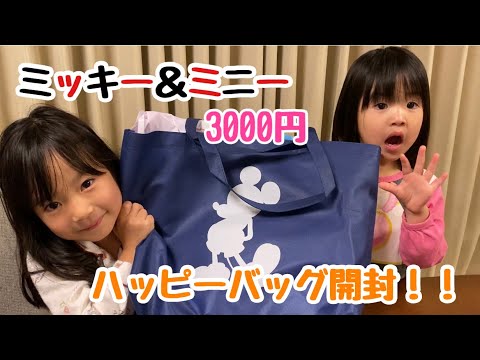 【福袋】ミッキー＆ミニー💓ハッピーバッグ3,000円を開封！【ディズニーストア】