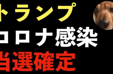 トランプ大統領新型コロナウイルス感染でアメリカ大統領選挙当選確定！オクトーバーサプライズはバイデンがコロナに感染か！