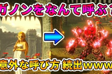 【ゼルダ無双】厄災ガノンにキャラ変更するときゼルダたち味方陣営は何て呼ぶのか？【実況プレイ】厄災の黙示録 #24 Nintendo Switch