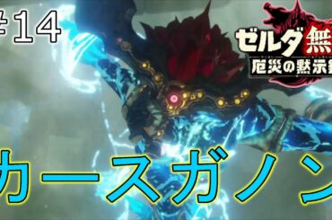 【ゼルダ無双　厄災の黙示録】カースガノンとまさかの援軍　ベリーハード＃14
