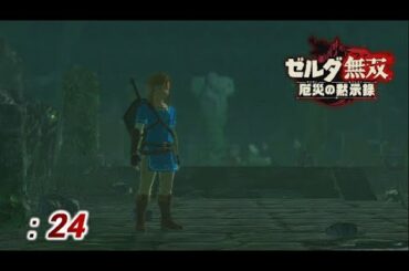 【ゼルダ無双 厄災の黙示録】#24 勇気の泉護衛戦