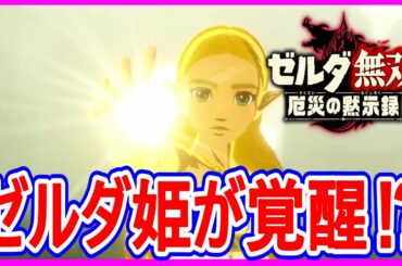 【ゼルダ無双 厄災の黙示録】実況 リンク最大のピンチに遂にゼルダ姫の力が覚醒する⁉