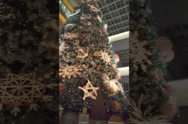 #クリスマス #クリスマスツリー  #コロナ禍 #二子玉川駅