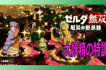 ゼルダ無双 厄災の黙示録 「大妖精の特訓」