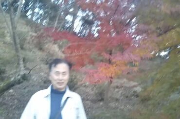 福岡県久留米、高良山の紅葉、松田聖子、吉田羊、チェッカーズ、ゆかりの地。