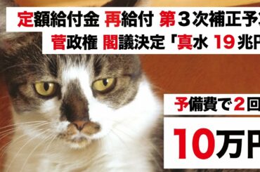 【特別定額給付金・菅政権 緊急経済対策】第3次補正予算「真水 19兆円 閣議決定」内閣支持率 VS 2回目 緊急事態宣言【再給付は予備費から】真水を解説