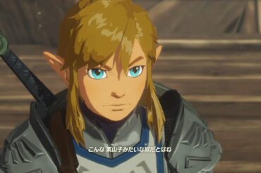 【実況】ゼルダ無双　厄災黙示録をカミカミ実況グダグダでグダグダプレイ　PART9【Hyrule Warriors Age of Calamity】