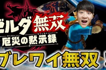 【ゼルダ無双 厄災の黙示録】ストーリーすすめる！今作はじっくりやるよ！※概要欄要確認