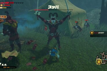 ゼルダ無双 厄災の黙示録 「ゼルダ姫にフルーツを」