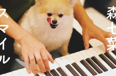 【ピアノ】ポメラニアンと「スマイル／森七菜」を耳コピで弾いてみた。（オロナミンC CM曲）