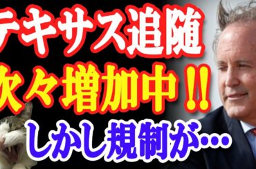 １７州以上がテキサスに加勢！米大統領選めぐり全米をも巻き込む勢い！しかし、Youtubeの新たな規制が…！【日出づる国TV】