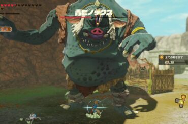 ゼルダ無双 厄災の黙示録 「更なる強者たち」