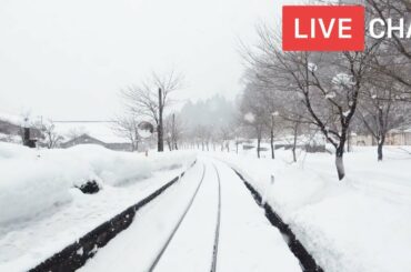 Winter Wonderland LIVE 24/7 - Snowy Japan with Chat