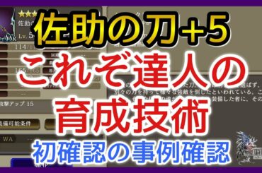 【幻影戦争】育成/佐助の刀+5クリティカル！ホーリープリン討伐に向けて育成！キトン待ってろ！【FFBE幻影戦争】