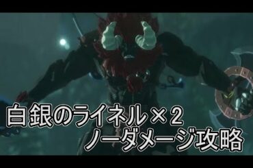 ゼルダ無双厄災の黙示録ノーダメージ攻略樹海に潜む双子の神獣 Yayafa ゼルダ無双厄災の黙示録ノーダメージ攻略樹海に潜む双子の神獣 Yayafa