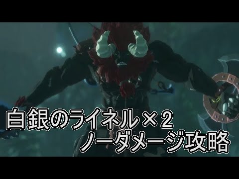 ゼルダ無双厄災の黙示録 ノーダメージ攻略 樹海に潜む双子の神獣 Yayafa ゼルダ無双厄災の黙示録 ノーダメージ攻略 樹海に潜む双子の神獣 Yayafa