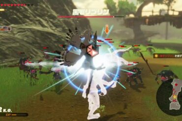 ゼルダ無双 厄災の黙示録 「テバの特訓」