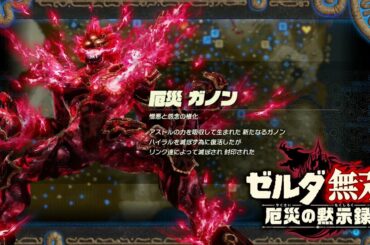 厄災ガノンで大暴れ ゼルダ無双 厄災の黙示録【Hyrule Warriors: Age of Calamity】Zelda Nintendo switch