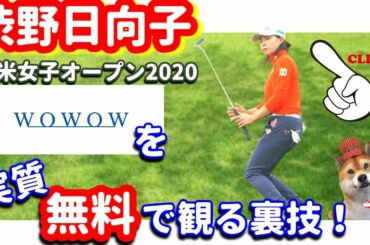 【凄すぎ！】渋野日向子が全米女子オープン2020で大活躍！『WOWOW』を実質無料で観る裏技！シバ副支配人が解説します