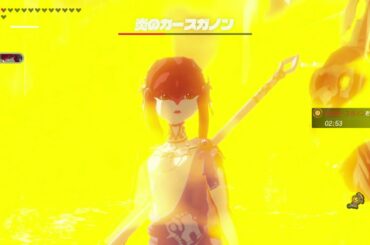 ゼルダ無双 厄災の黙示録 「炎の特訓 極位」