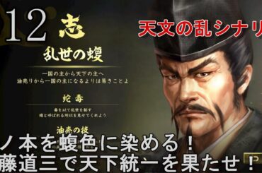 #12 東で今川義元と西では毛利元就との戦いが始まるも斎藤家の強さが際立つ！天分の乱シナリオの斎藤道三で天下統一を目指す！【信長の野望 大志 PK 超級】