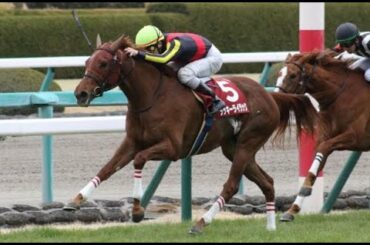 エリザベス女王杯Ｇ１、ラッキーライラック２連覇達成！ルメールの勢いも止まらない！