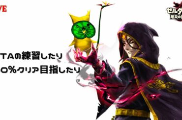 【厄災の黙示録】100%完クリを目指すついでにRTAの練習【ゼルダ無双】【ゼルダの伝説ブレスオブザワイルド】