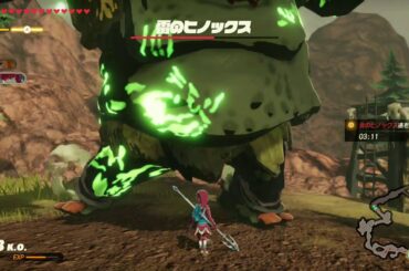 ゼルダ無双 厄災の黙示録 「炎と雷の特訓」