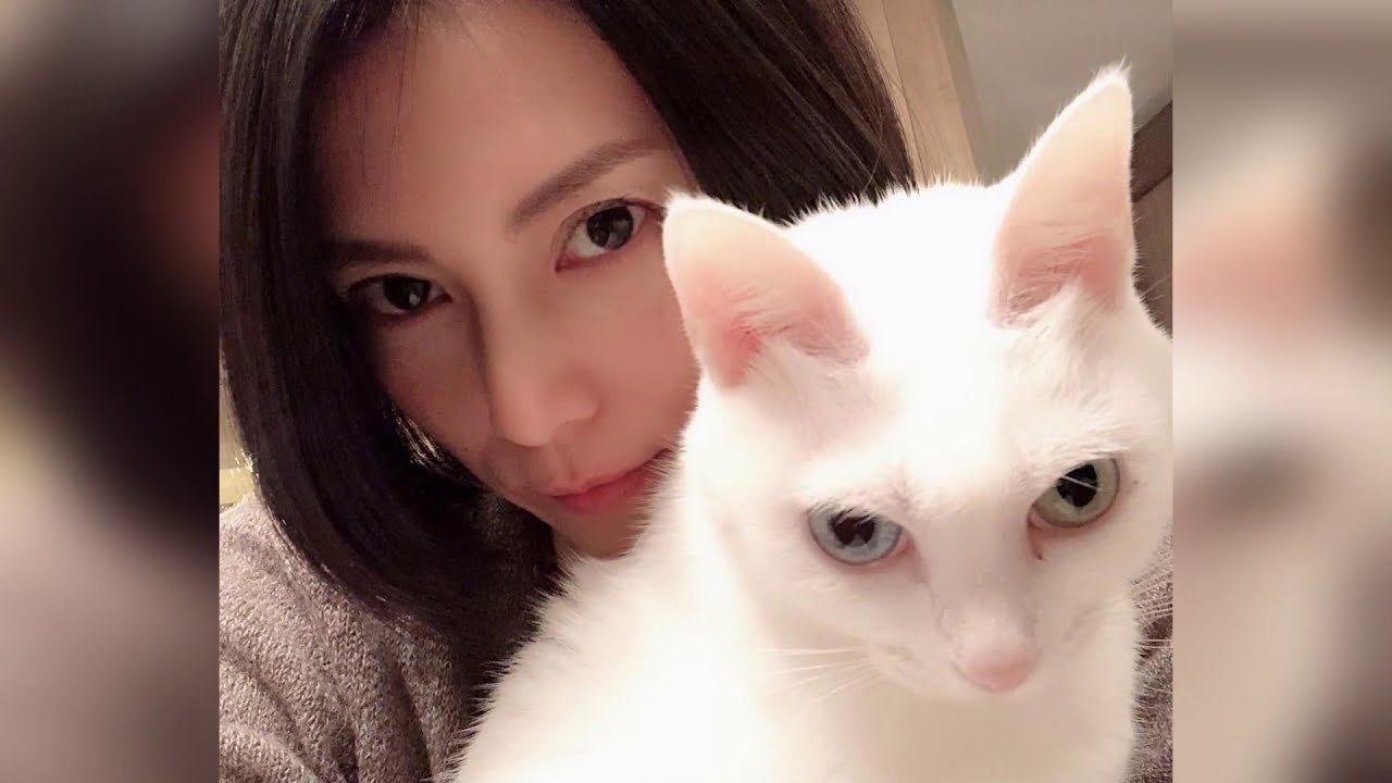 柴咲コウ Ko Shibasaki Instagram 画像200枚 Photos Mixtape 2018.07 – 2020.12 柴咲コウ Ko Shibasaki Instagram 画像200枚 Photos Mixtape 2018.07 - 2020.12