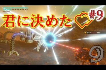 【ゼルダ無双　厄災の黙示録】脳筋リンクのゴリ押しハイラル紀行　09：「火山弾の暴挙」（実況）