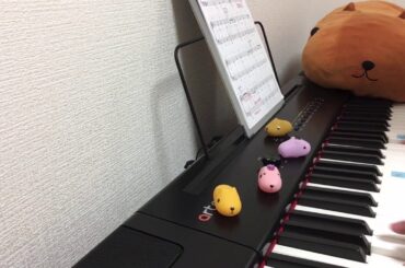 day 220【ピアノ初心者】ハッピーバースデーの曲 高畑充希さん 誕生日おめでとうございます！