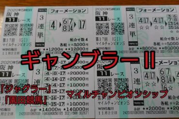 ギャンブラーⅡ  ② 「ジャグラー、園田競馬、マイルチャンピオンシップ」