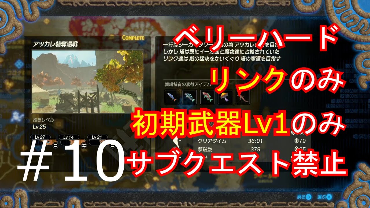 【ゼルダ無双】制限プレイ#10【厄災の黙示録】