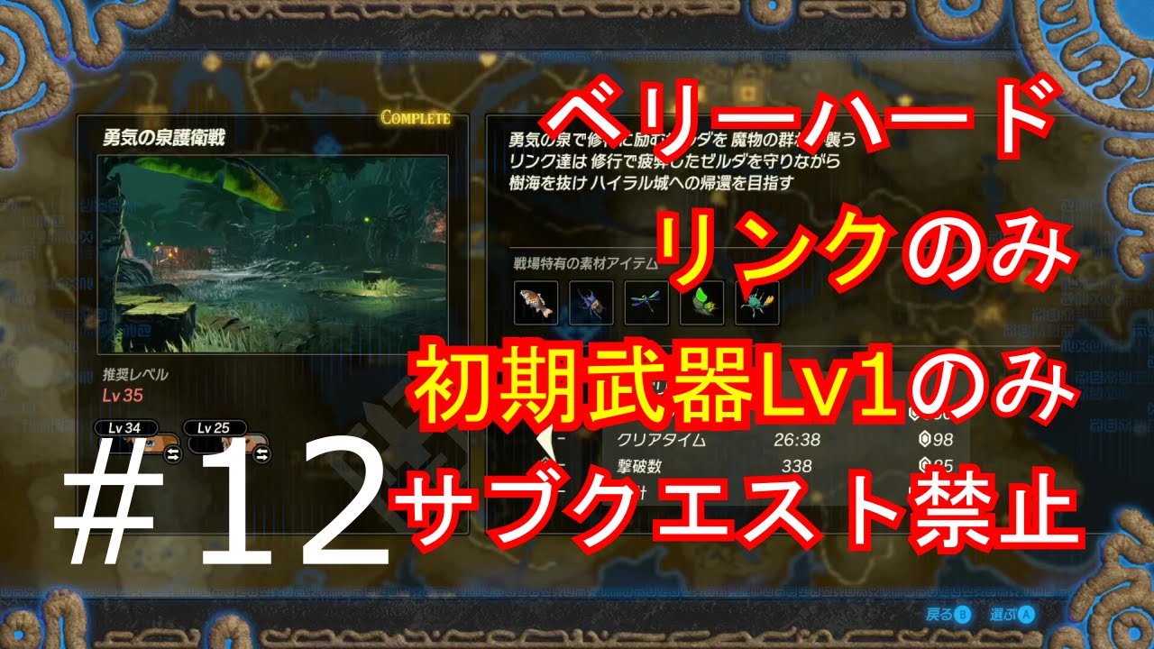 【ゼルダ無双】制限プレイ#12【厄災の黙示録】