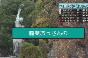 職業おっさんの馬券生活　第１２話　マイルチャンピオンシップ