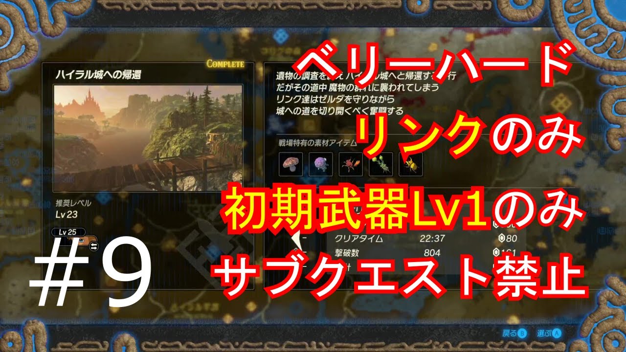 【ゼルダ無双】制限プレイ#9【厄災の黙示録】